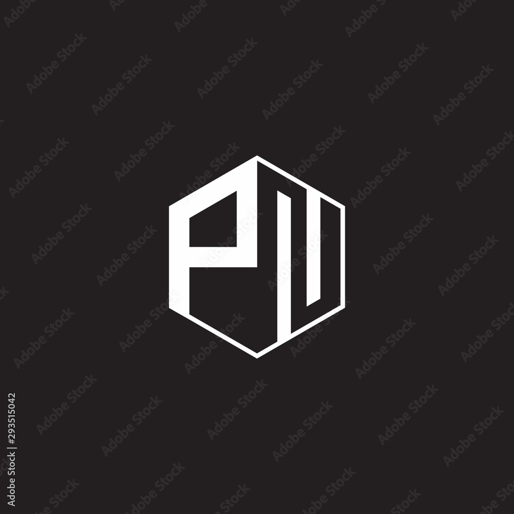 PN Logo monogram hexagon with black background negative space PN Logo monogram hexagon with black background negative space