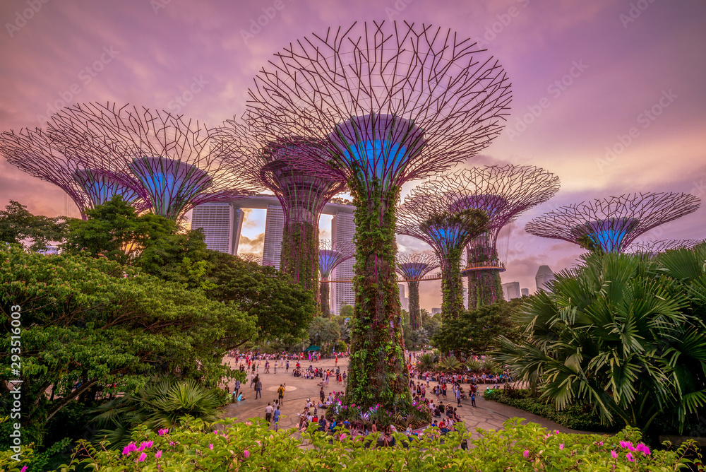 Gardens by the Bay with supertree in singapore - obrazy, fototapety, plakaty 