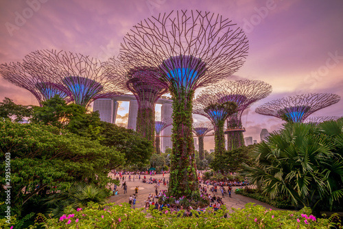 Gardens by the Bay with supertree in singapore