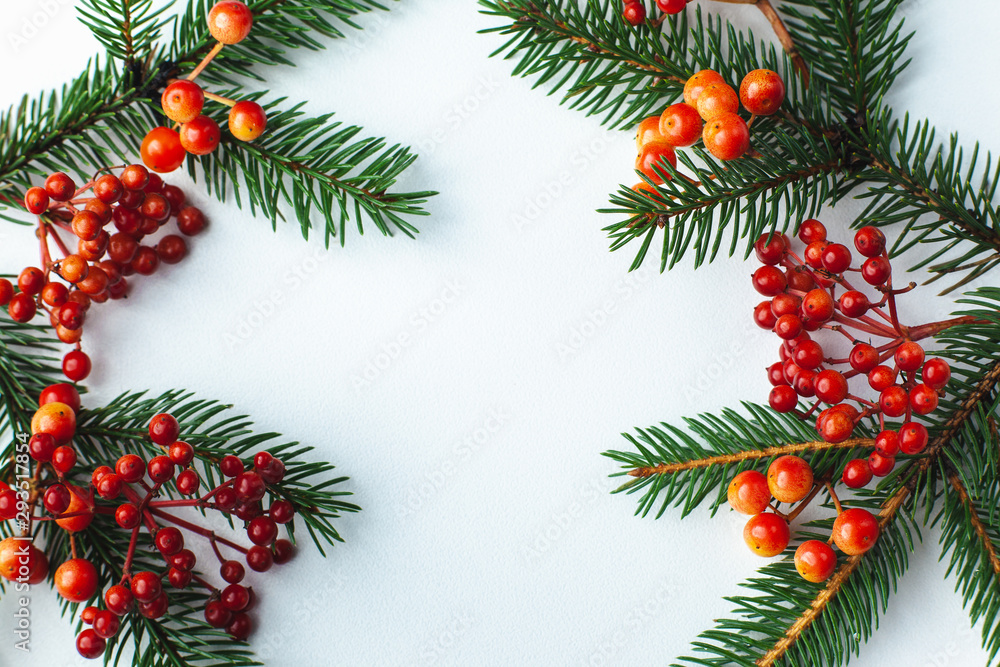Christmas blank for your advertisement, banner. Berries and spruce branches on a white background Christmas blank for your advertisement, banner. Berries and spruce branches on a white background