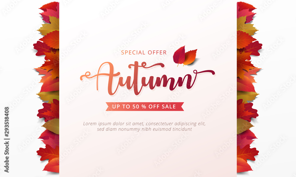 Autumn sale banner layout template decorate with maple and realistic leaves in warm color tone for shopping sale or promotion poster, leaflet and web banner. Vector illustration . - obrazy, fototapety, plakaty 
