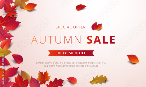Autumn sale banner layout template decorate with maple and realistic leaves in warm color tone for shopping sale or promotion poster, leaflet and web banner. Vector illustration .