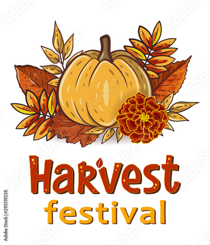 Harvest Festival hand drawn lettering text with autumn leaves and pumpkins. Rowan and oak leaves with gourds and marigold. Fall season elements for thanksgiving. Autumn harvest fest. Vector design