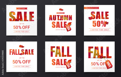 Set of Fall sale calligraphy decorate with falling leaves in modern style for shopping sale or promo poster and marketing leaflet or social media banner. Vector illustration.