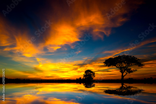 Panorama silhouette tree in asia with sunset.Tree silhouetted against a setting sun.Dark tree on open field dramatic sunrise and reflection in water. 