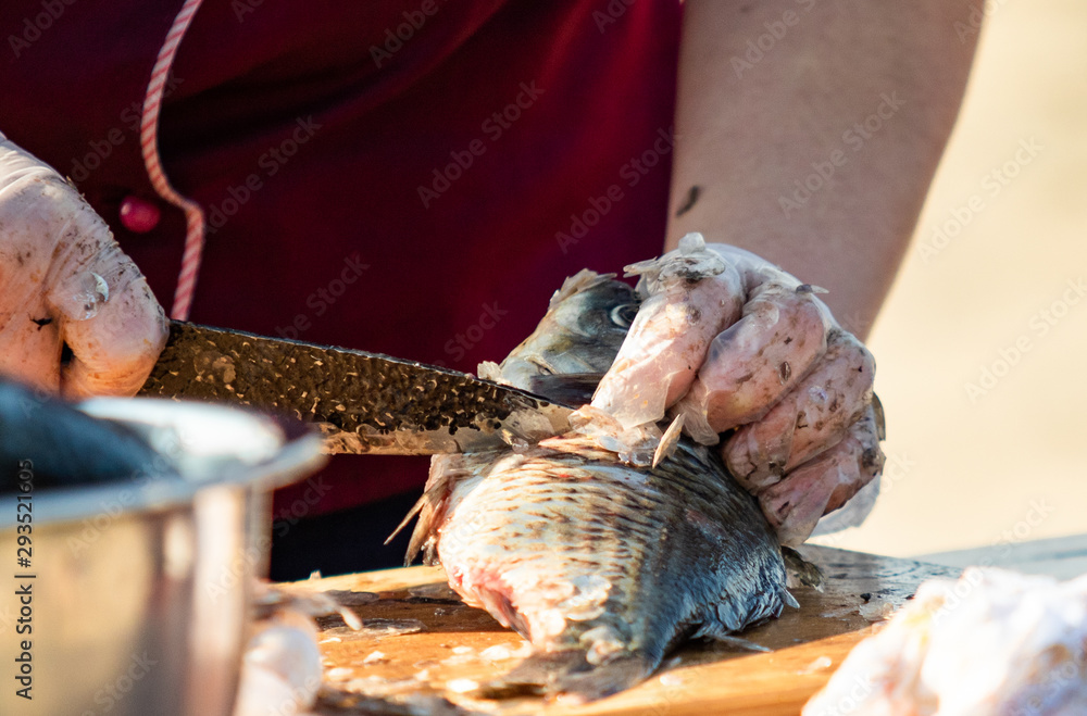 On the table, clean the fish from the scales and remove the entrails. Peeling and fillet of fresh fish that use a knife to clean the fish. Seafood cooking.