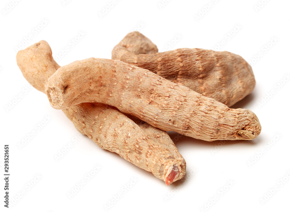 Gastrodia elata on white background Gastrodia elata on white background