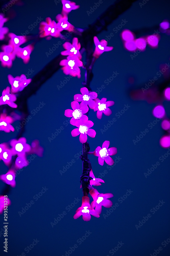 Flower-shaped lights installed on trees. Flower-shaped lights installed on trees.