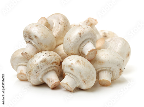 White mushrooms on white background