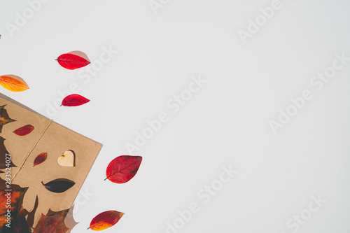 Red, yellow leaves and envelope in the corner isolated on white background. Autumn concept. Empty space for text
