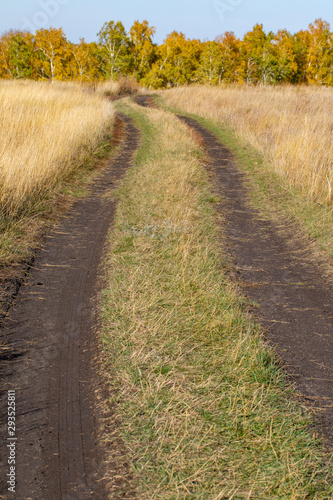 Mud blurred road  autumn field.