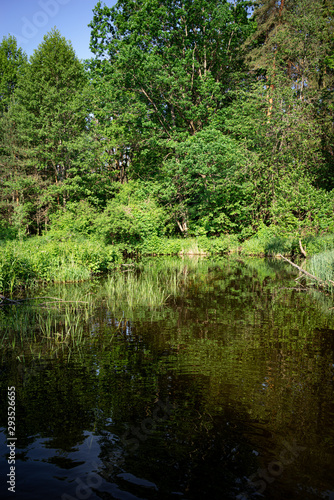Calm river and green nature. Wallpaper scenery