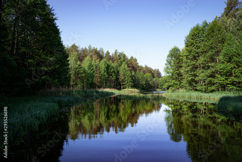 Calm river and green nature. Wallpaper scenery