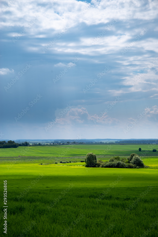 Green grass and blue sky. Countryside scenery