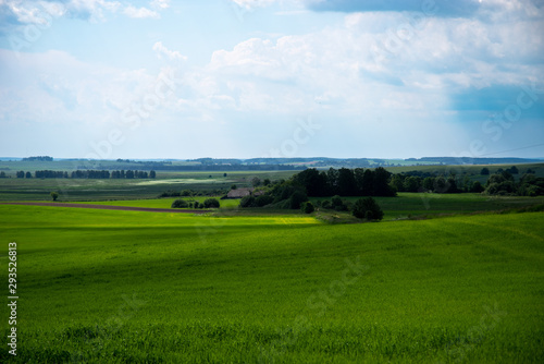 Green grass and blue sky. Countryside scenery