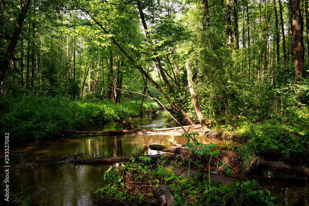 Calm river and green nature. Wallpaper scenery Calm river and green nature. Wallpaper scenery