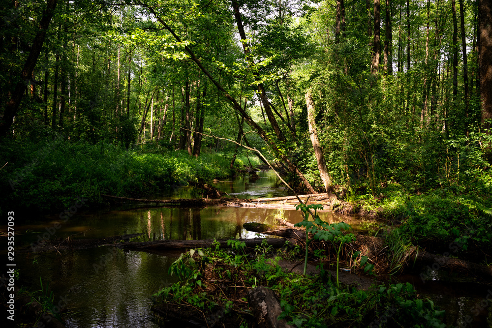 Calm river and green nature. Wallpaper scenery