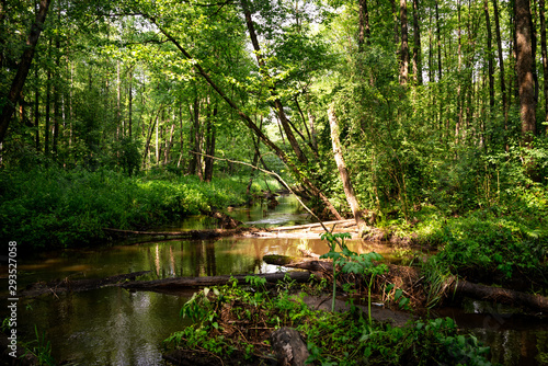 Fototapeta Naklejka Na Ścianę i Meble -  Calm river and green nature. Wallpaper scenery