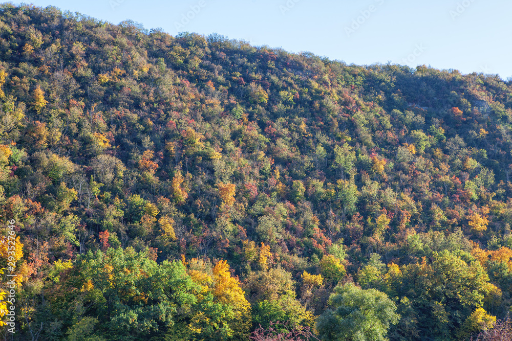 multicolored natural hill in the fall season 