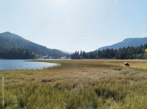 Bavarian landscape. Around the Romantic Spitzingsee in October, a beautiful mountain lake in Bavaria between Schliersee and Bayerischzell
