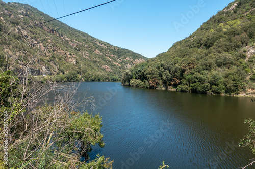 The tau swamp on the route of the ter photo