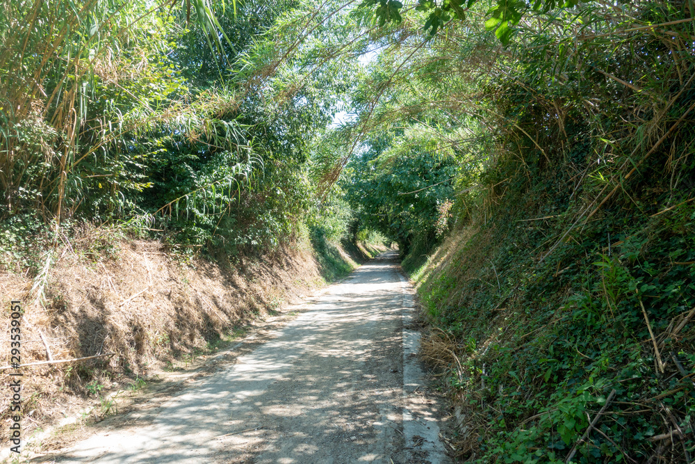 The green way of the carrilet path of Olot The green way of the carrilet path of Olot