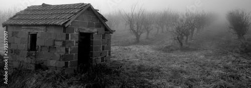 Quadro su tela vieille maison abandonnée dans un verger avec du brouillard