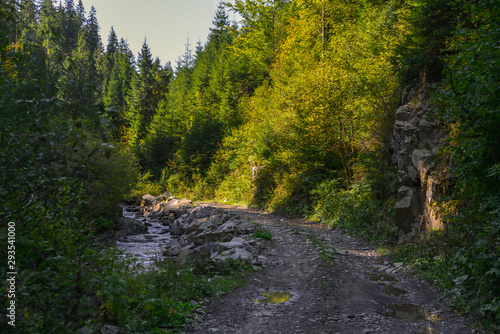 Mountain road in the forest by the river