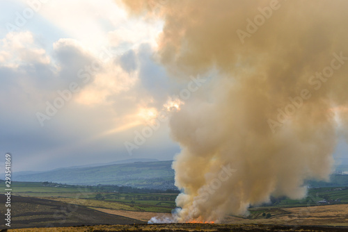 Fotografie Fire burning heather [2]