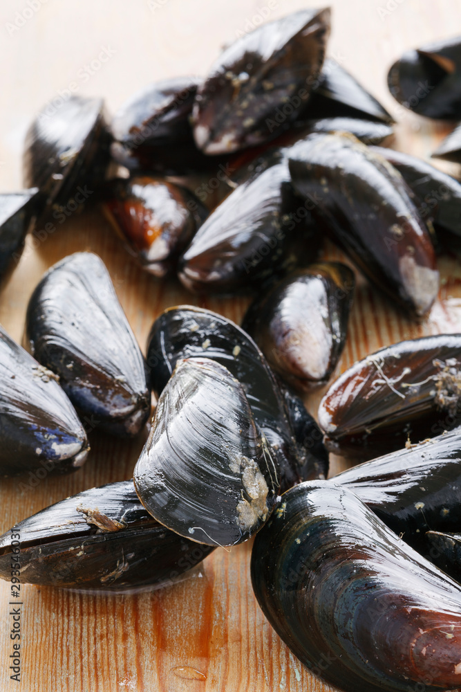 Mussel Mussel