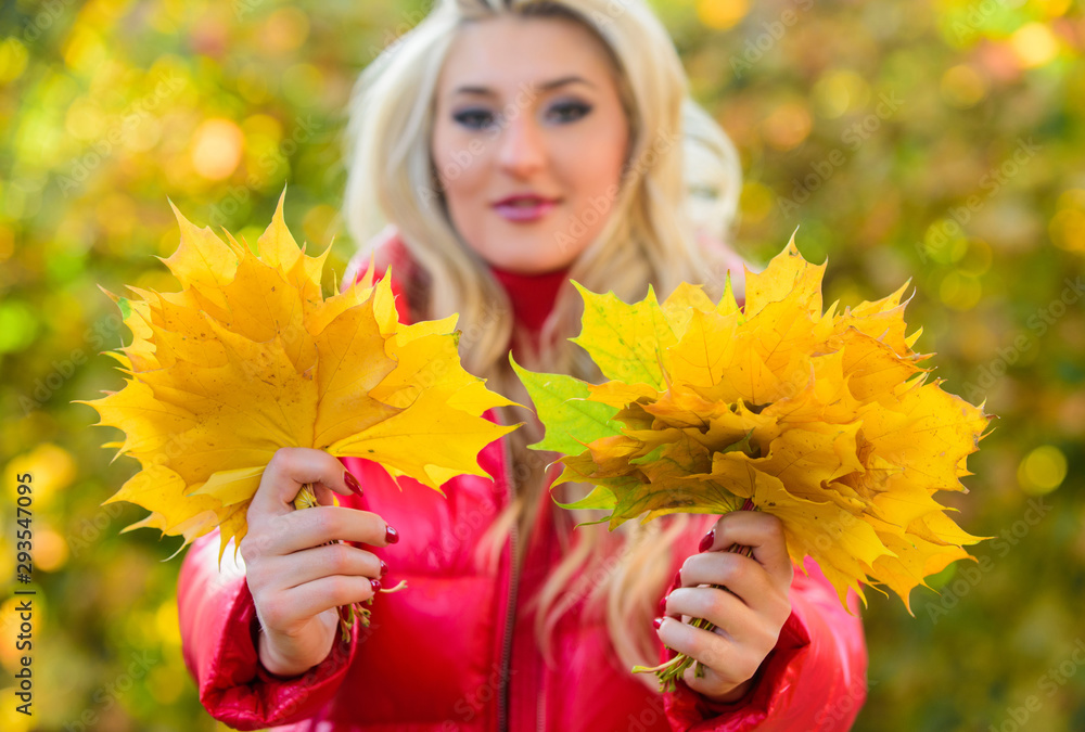 Autumn traditional attributes concept. Autumn is her favorite season of year. Girl dreamy face hold bunch maple leaves. Woman walk in autumn park. Lady posing with leaves autumn nature background Autumn traditional attributes concept. Autumn is her favorite season of year. Girl dreamy face hold bunch maple leaves. Woman walk in autumn park. Lady posing with leaves autumn nature background