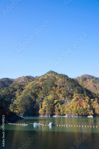 ダム湖の紅葉 © inoumasa