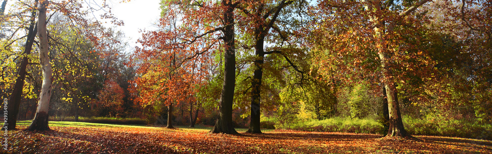 Landschaft 749