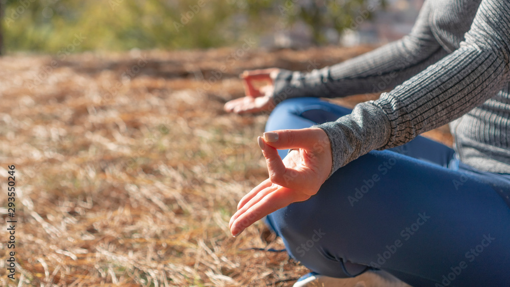 Naklejka premium Girl in sportswear in yoga lotus position on fallen needles in the coniferous forest