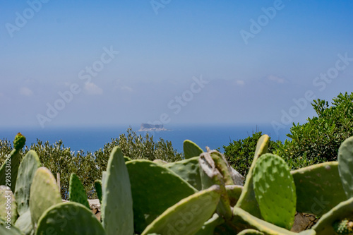View of lone rocky Filfla island in the sea with cactuses and bushes in the foreground. Travel destination concept.