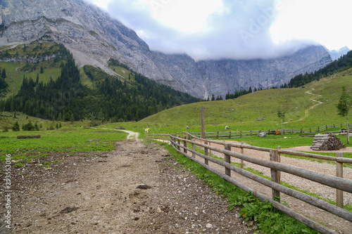 Alpine pastures and meadows in the Austrian Alps