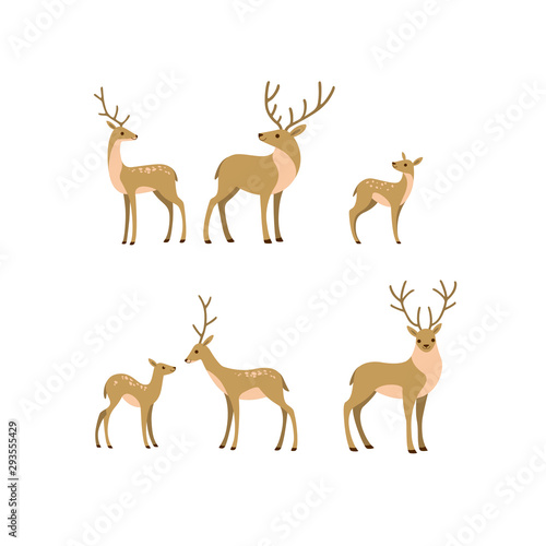 Cartoon forest animal line icon. Cute animals icons set - deer, fallow deer, fawn. Childish vector print for nursery, kids apparel, poster, postcard, pattern.