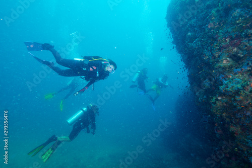 Divers and coral reef © Metha