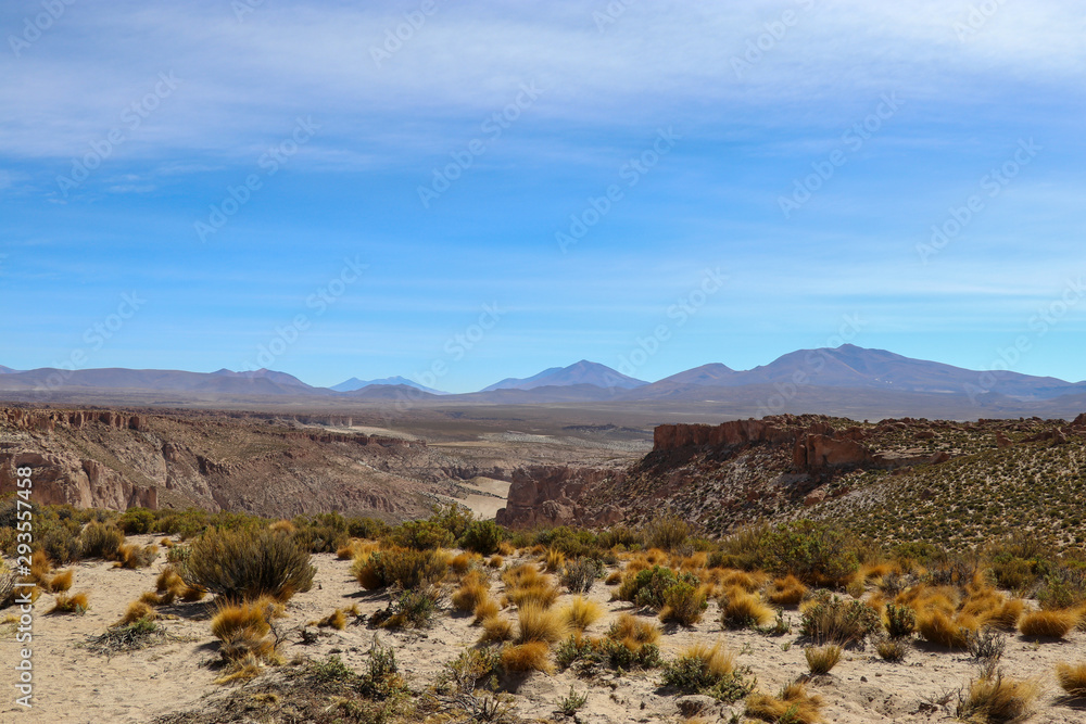 Breathtaking Bolivian Scenery - Deserts, salt flats, sunrise, sunset, vicuna, llama, lama, cactus, snow, lakes, flamingos 