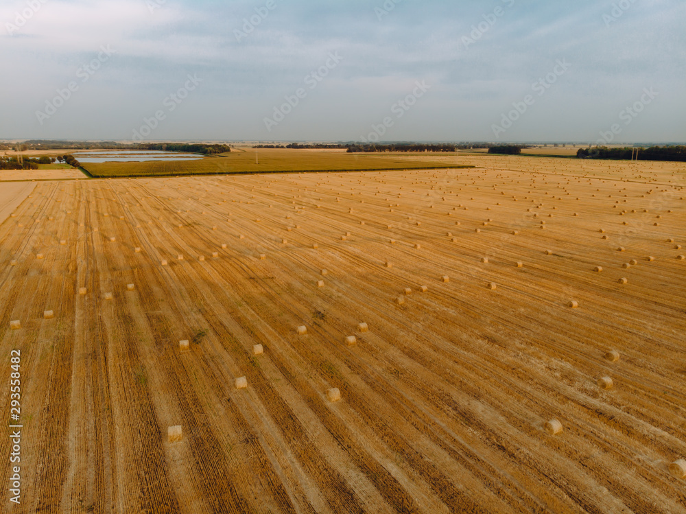 aerial view sunset field harvest autumn time aerial view sunset field harvest autumn time