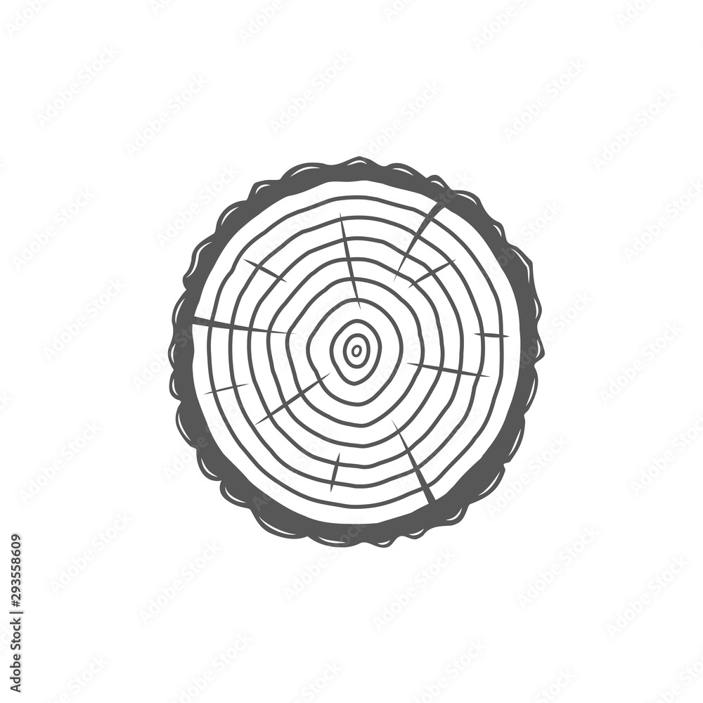 Fototapeta premium Sectional tree trunk isolated on white background