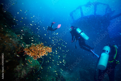 Wallpaper Mural Divers and Marine shipwreck Torontodigital.ca