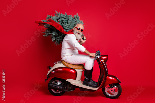 Full size profile side photo of cheerful pensioner on motorcycle carry fir tree travel hurry to christmastime wear sweater pants isolated over red background