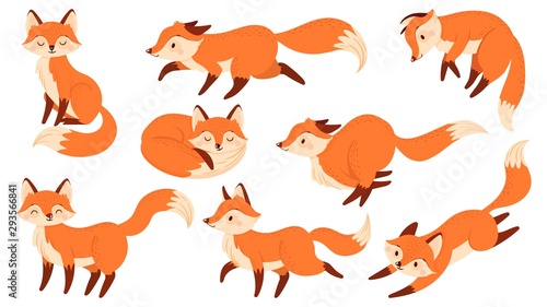 Cartoon red fox. Funny foxes with black paws, cute jumping animal vector illustration set photo