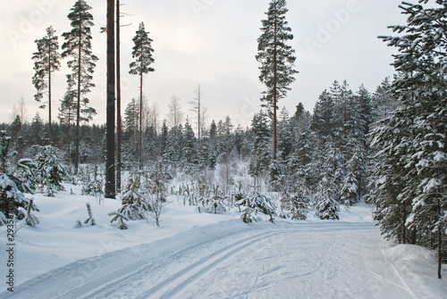 The ski-run ten miles in the sports center Vierumaki, Finland. photo