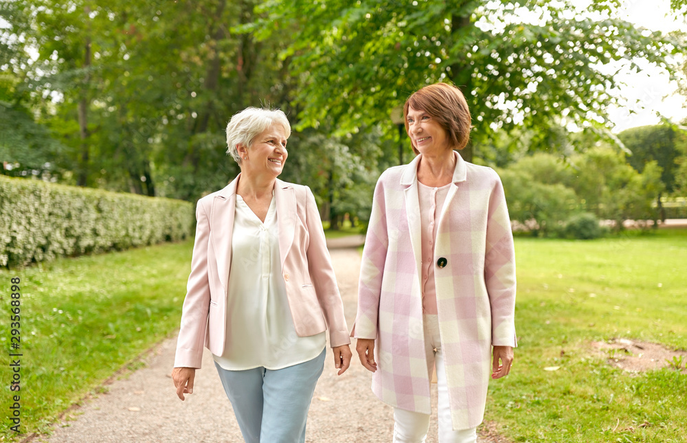 old age, retirement and people concept - two senior women or friends walking along summer park old age, retirement and people concept - two senior women or friends walking along summer park
