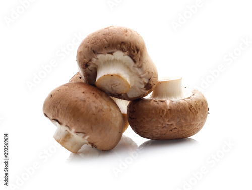 champignon mushrooms on white background