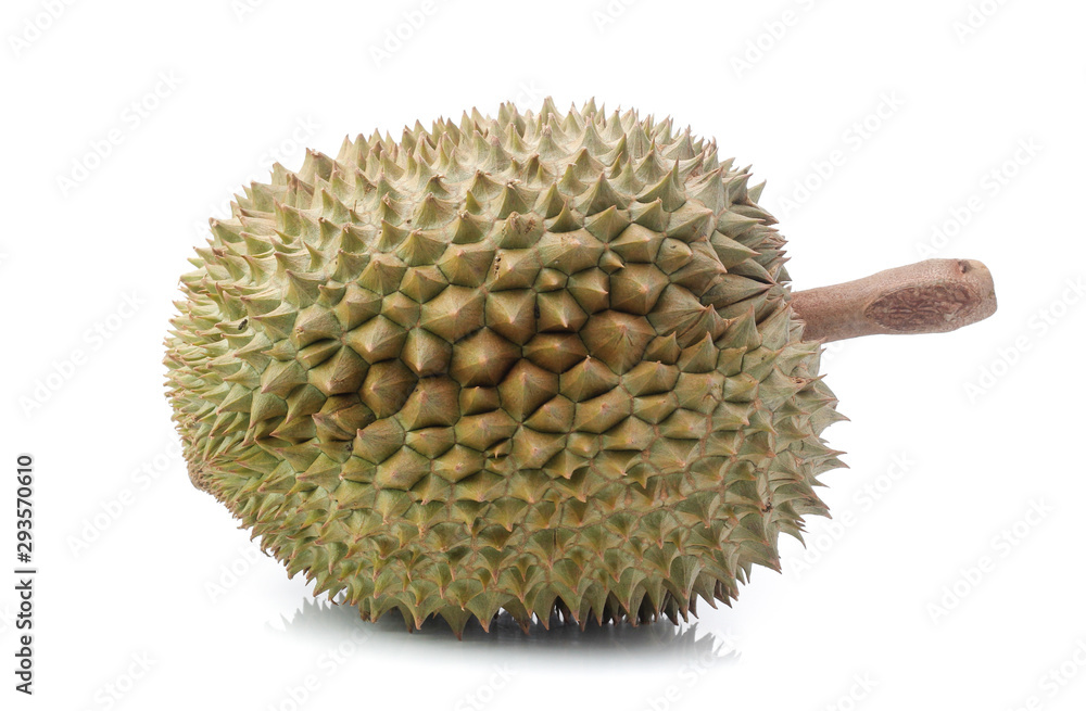 yellow durian in side Mon Thong durian fruit on white background yellow durian in side Mon Thong durian fruit on white background