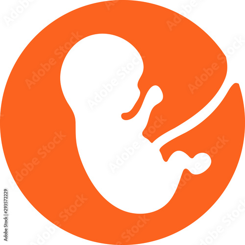 Fetus Icon. Icon Embryo. Baby icon with umbilical cord