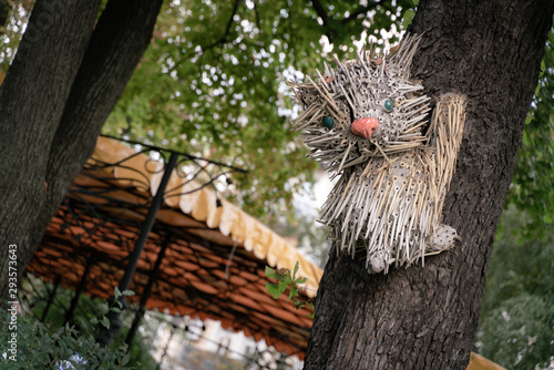 folk cat